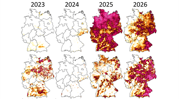 D&uuml;rreintensit&auml;ten im meteorologischen Fr&uuml;hling (M&auml;rz-Mai) f&uuml;r die Jahre 2023 bis 2026 im Oberboden (oben) und im Gesamtboden (unten). Quelle: UFZ-D&uuml;rremonitor
